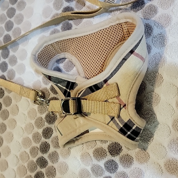 Cat leash - Picture 7 of 8